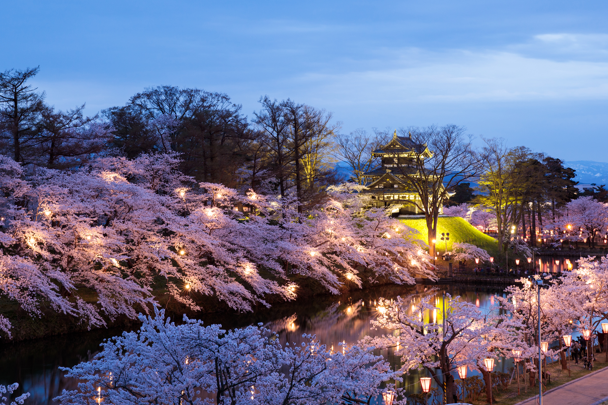 Takada Cherry Blossom Festival